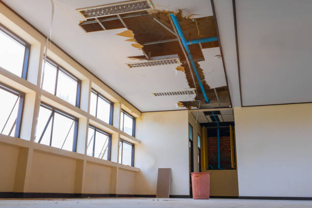 Best Flood damage cleanup  in Walden, TN