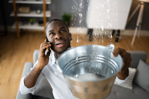 Best Water damage cleanup near me  in Walden, TN
