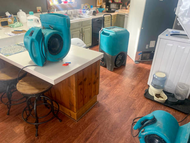 Best Emergency water damage restoration  in Walden, TN