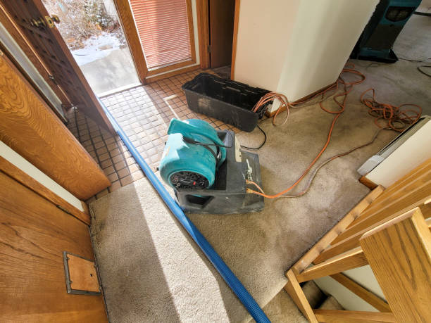 Best Emergency water extraction  in Walden, TN