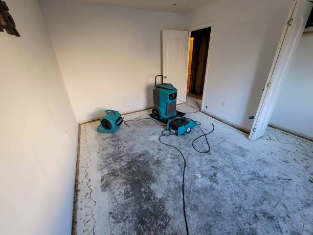 Best 24/7 water damage repair  in Walden, TN