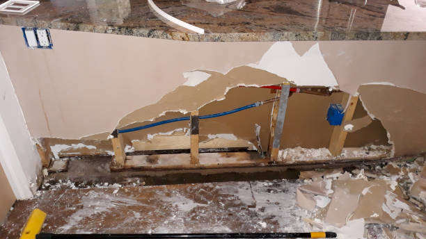Best Flood damage cleanup  in Walden, TN