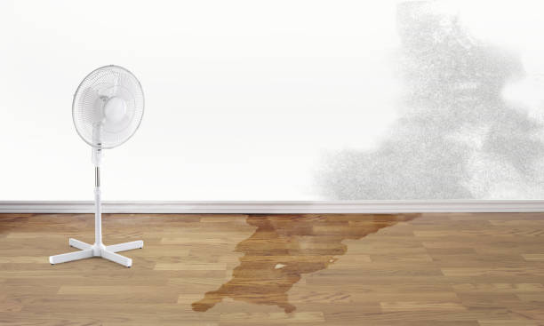 Best Sewage cleanup and water damage restoration  in Walden, TN
