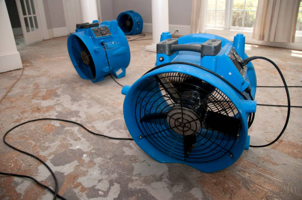 Best Carpet water damage restoration  in Walden, TN