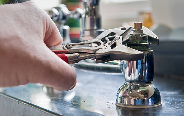 Best Flooded house restoration  in Walden, TN