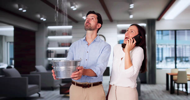Best Local water damage restoration  in Walden, TN