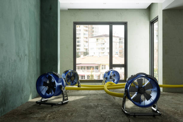 Best Water damage restoration near me  in Walden, TN