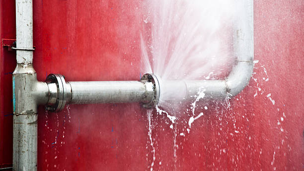 Best Ceiling water damage repair  in Walden, TN